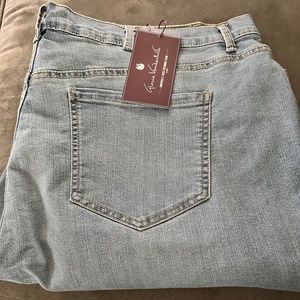 Plus Size Gloria Vanderbilt Amanda Classic Jeans [24W Callisto]